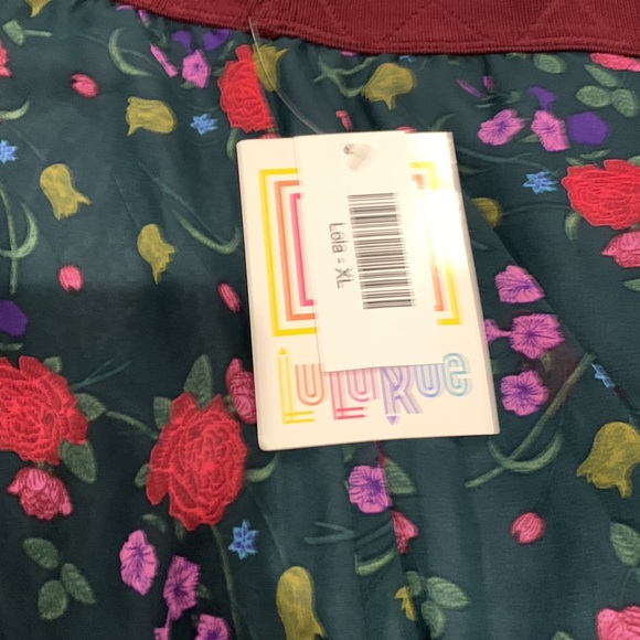 NWT lulaore Lola skirt - Picture 3 of 5